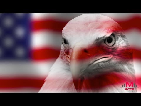 Simbolul național al Statelor Unite: Vulturul Pleșuv.