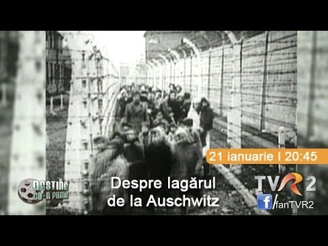 Supraviețuirea în camerele de gazare during the Holocaust