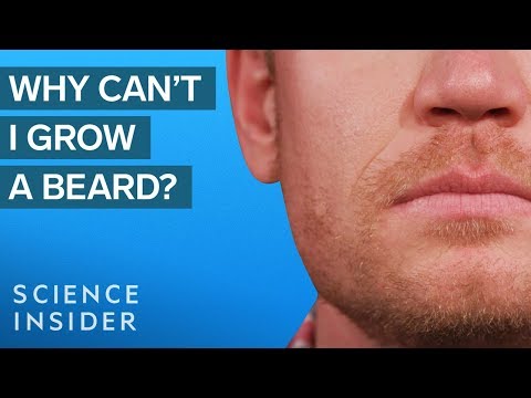 Părul facial al amerindienilor: Există diferențe genetice în creșterea acestuia?