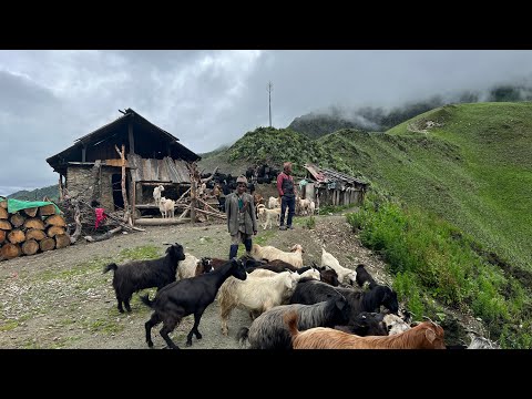 Nepal și Bhutan: Două Țări Himalayene cu Culturi și Peisaje Unice