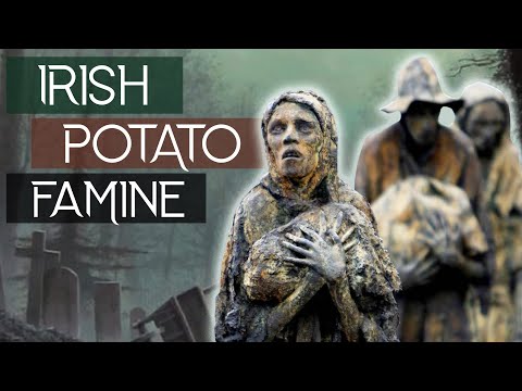 Foametea cartofilor din Irlanda: Genocidul din secolul al XIX-lea