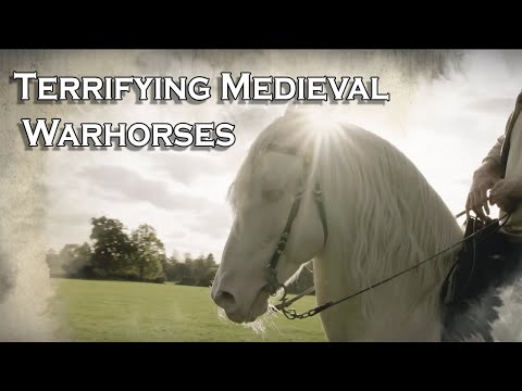 Calul de război medieval