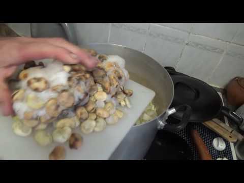 Mâncăruri din Evul Mediu: Pottage