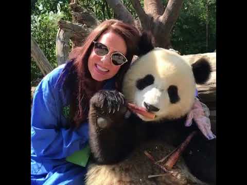 Cum să spui 'urs panda' în chineză: Ghidul complet pentru iubitorii de animale