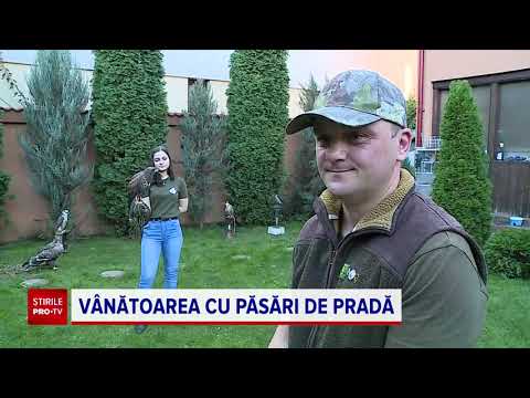 Arcurile de Vânătoare pentru Păsări: Tradiție și Tehnologie în Pasiunea pentru Vânătoare