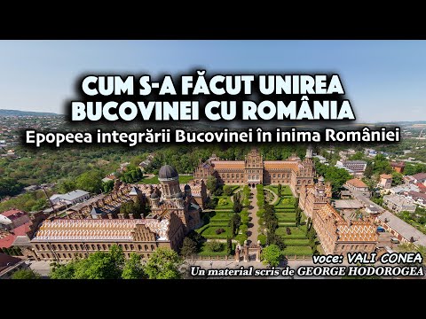 Simboluri ale Identității: O Comparatie între Steagul Cubean și Steagul Puerto Rican